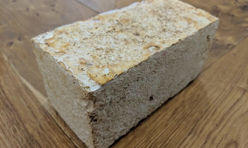MycoBrick