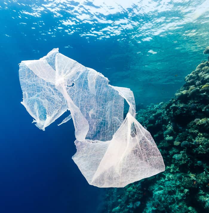 enzima-plastico-cientista